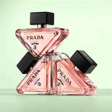 prada paradox brasil|Paradoxe .